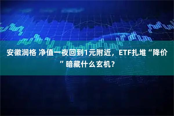 安徽润格 净值一夜回到1元附近，ETF扎堆“降价”暗藏什么玄机？