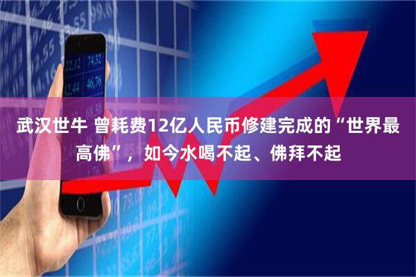 武汉世牛 曾耗费12亿人民币修建完成的“世界最高佛”，如今水喝不起、佛拜不起