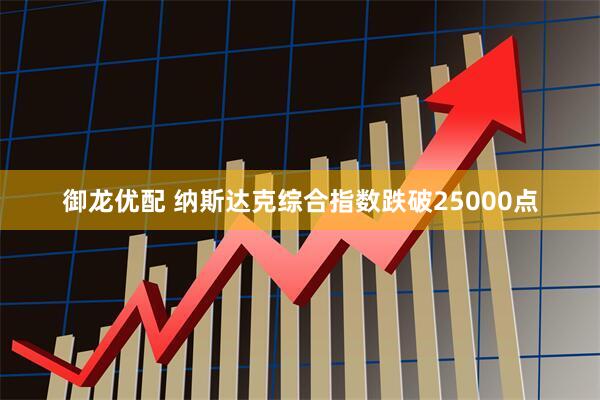 御龙优配 纳斯达克综合指数跌破25000点
