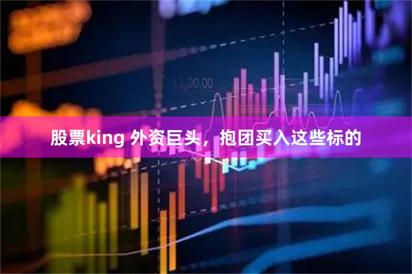 股票king 外资巨头，抱团买入这些标的